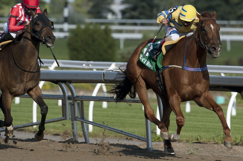 Pink Lloyd streaks to a record fourth straight Jacques Cartier Stakes victory on June 25, 2020 at Woodbine Racetrack in Toronto. Photo by Michael Burns.
