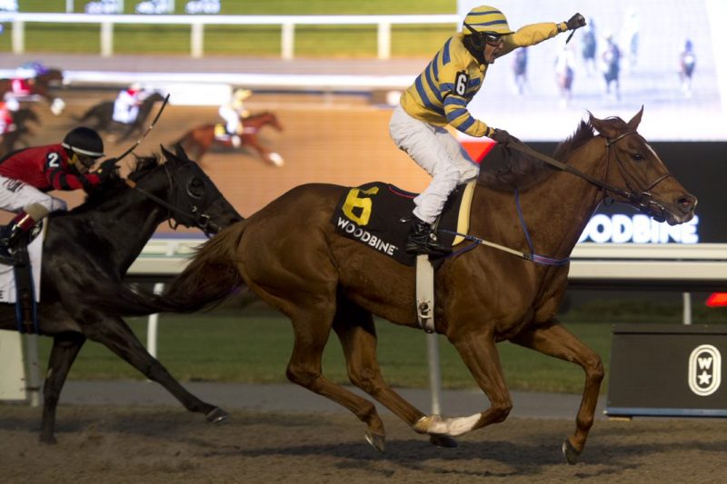 Pink Lloyd, under Eurico Rosa Da Silva, captured the 2019 edition of the Kennedy Road Stakes. (Michael Burns Photo)