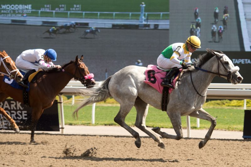 Pioneer's Edge winning her 2022 season debut on May 15 under jockey Justin Stein at Woodbine. (Michael Burns Photo)