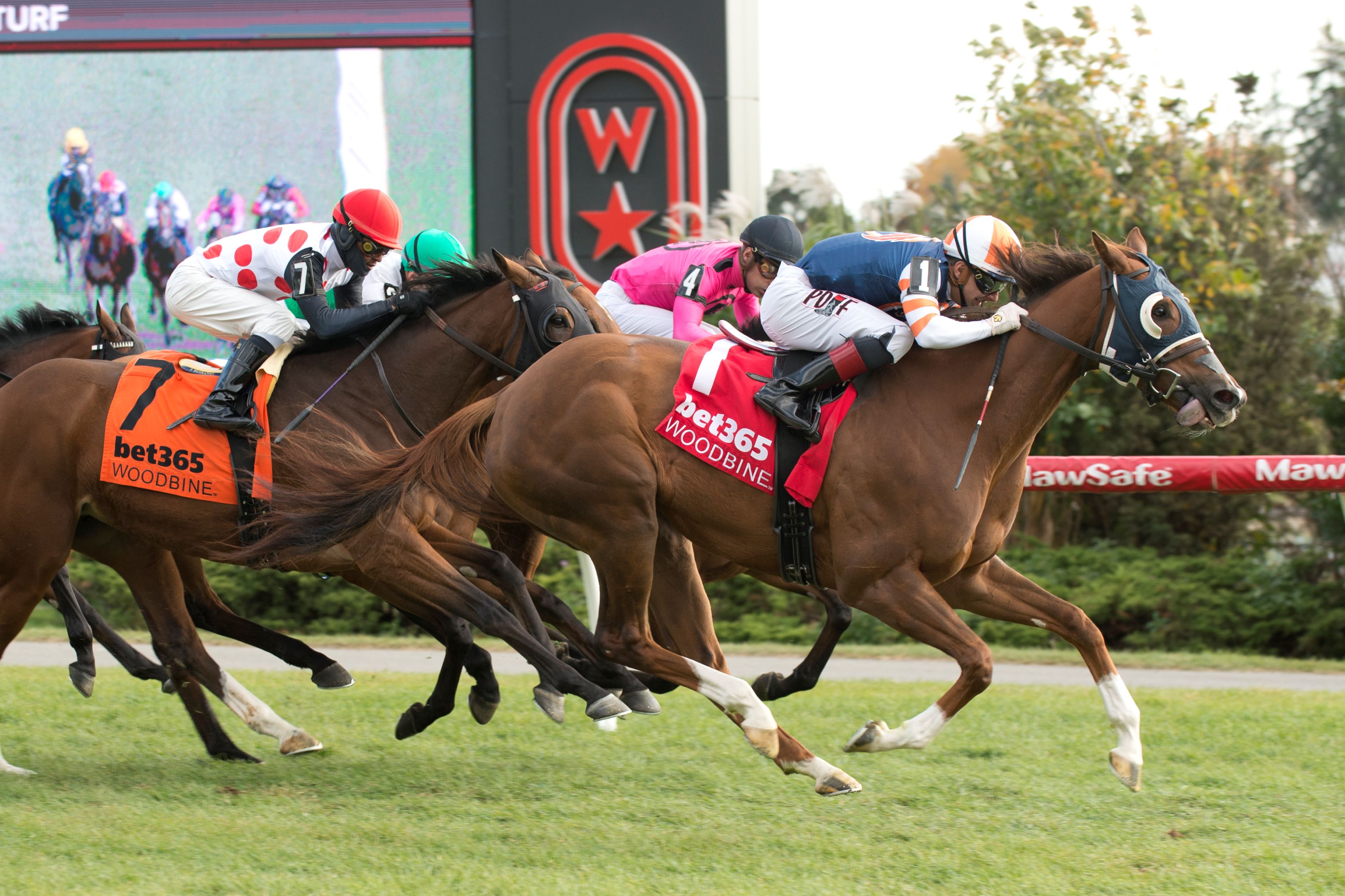 Poppys Joy and jockey Rafael Hernandez winning at Woodbine (Michael Burns Photo)