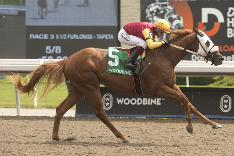 Poulin in O T and jockey Patrick Husbands winning the Victoria Stakes on July 17, 2022 at Woodbine (Michael Burns Photo)