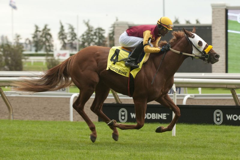 Poulin in O T and jockey Patrick Husbands winning the Bull Page Stakes on Saturday at Woodbine (Michael Burns Photo)