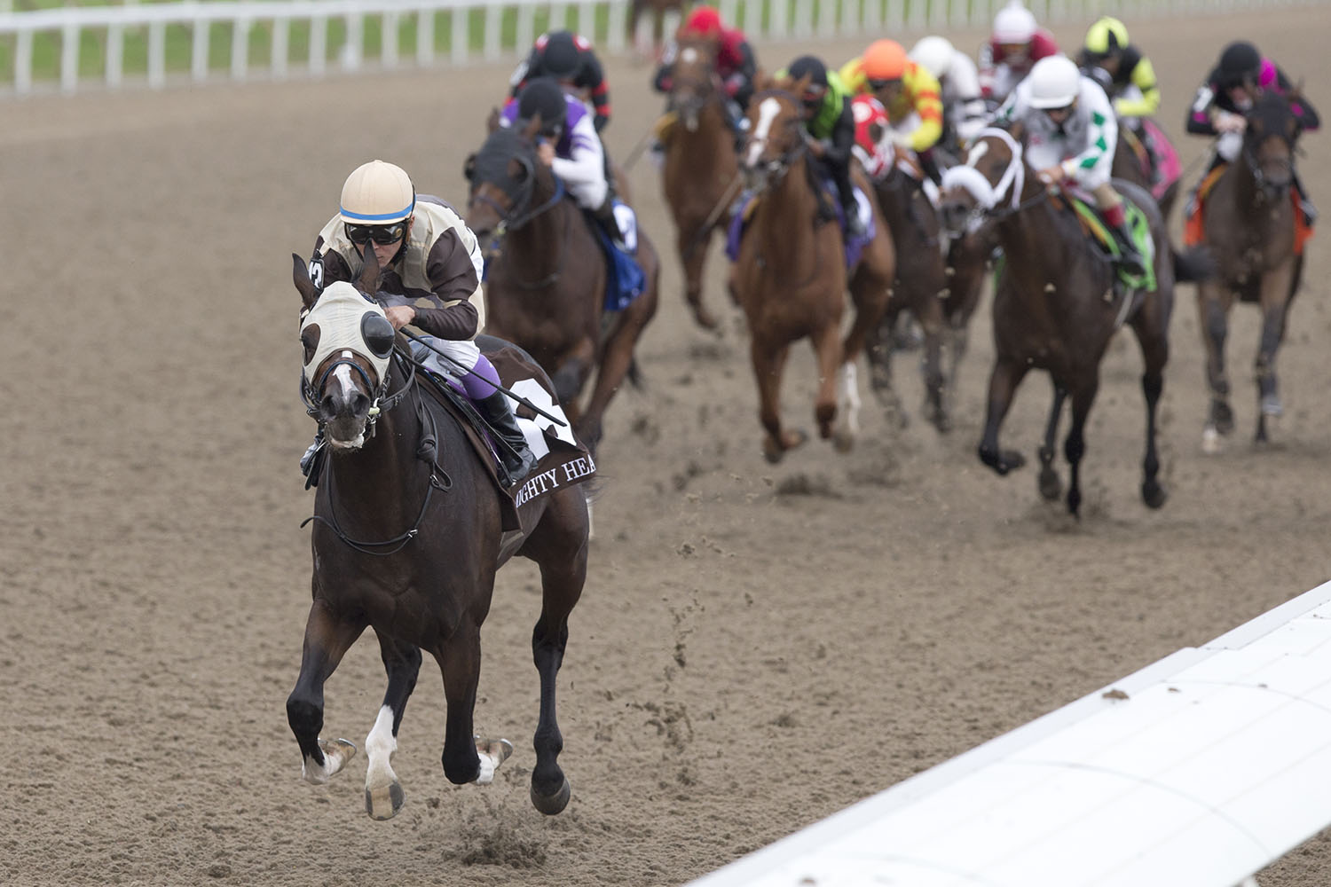 Mighty Heart winning the $1 million Queen’s Plate, first jewel of the OLG Canadian Triple Crown, on September 12 at Woodbine Racetrack. (Michael Burns Photo)