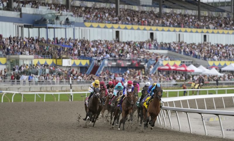Horses enter the first turn during the 163rd running of The Queen's Plate on August 21, 2022 at Woodbine Racetrack. 