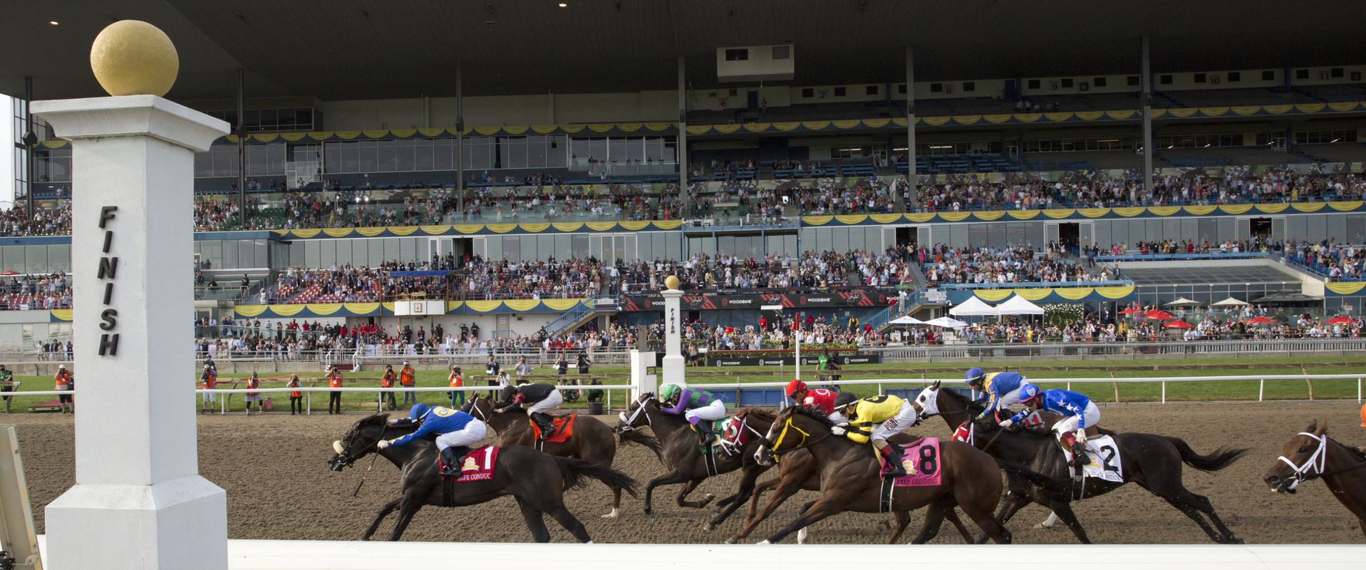 Foreign gains, big fields push Woodbine to third-highest season handle ...