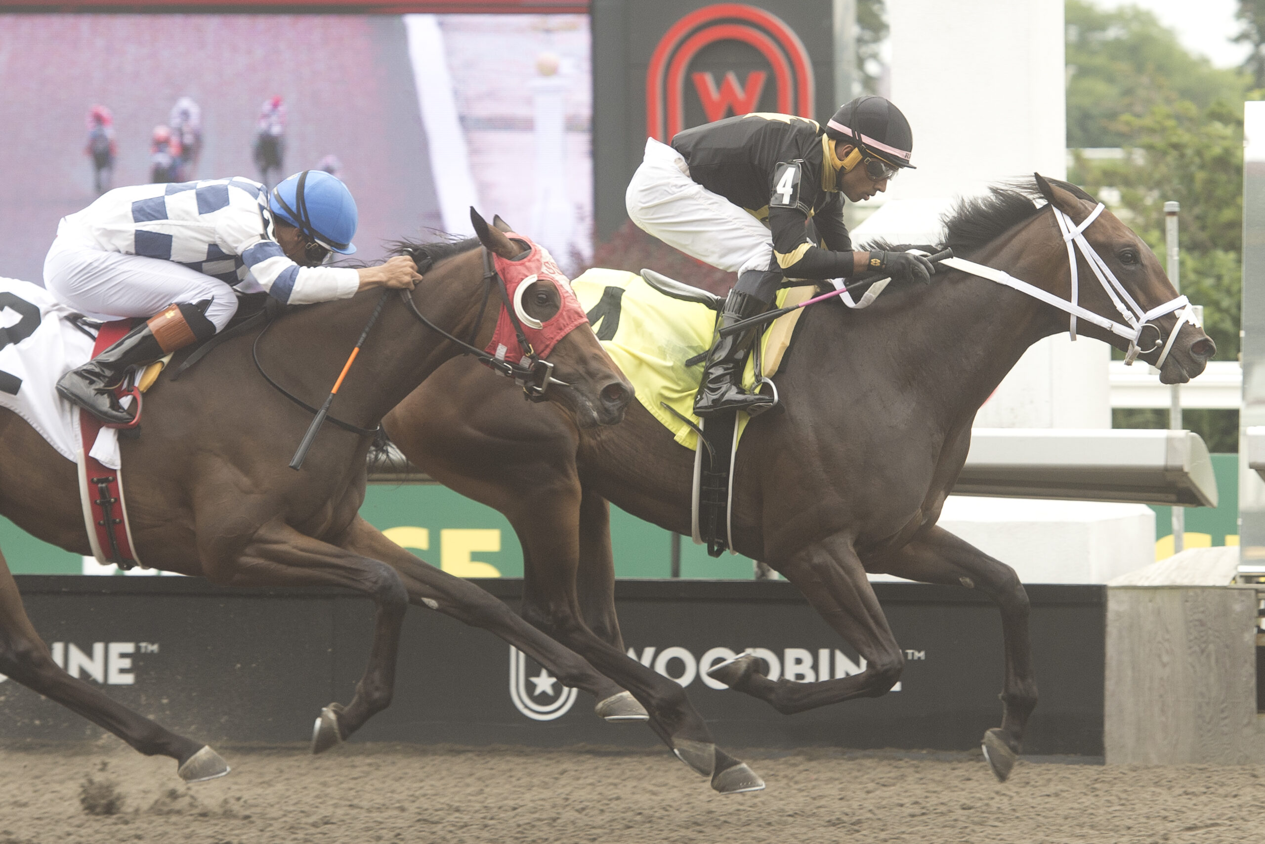 Chircop duo meets again, this time in Victorian Queen Stakes