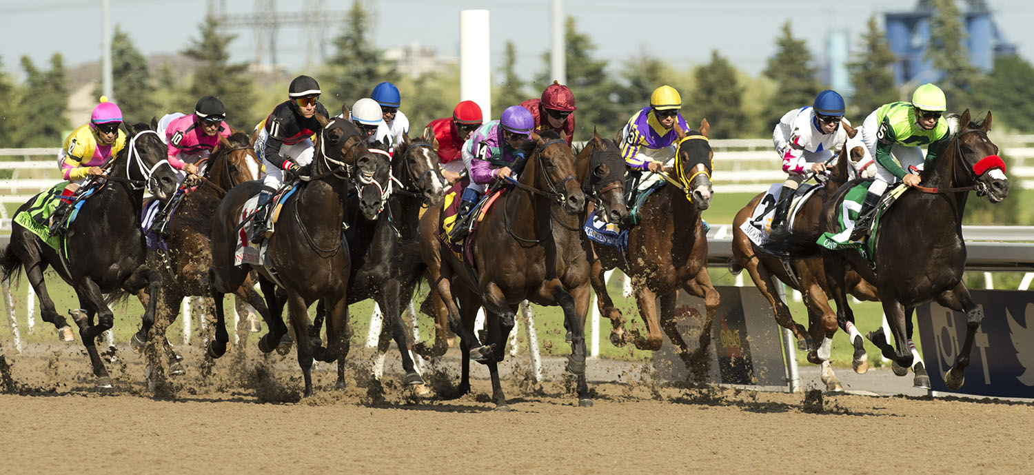 Woodbine 2020 Thoroughbred Stakes Schedule Finalized - Woodbine Racetrack