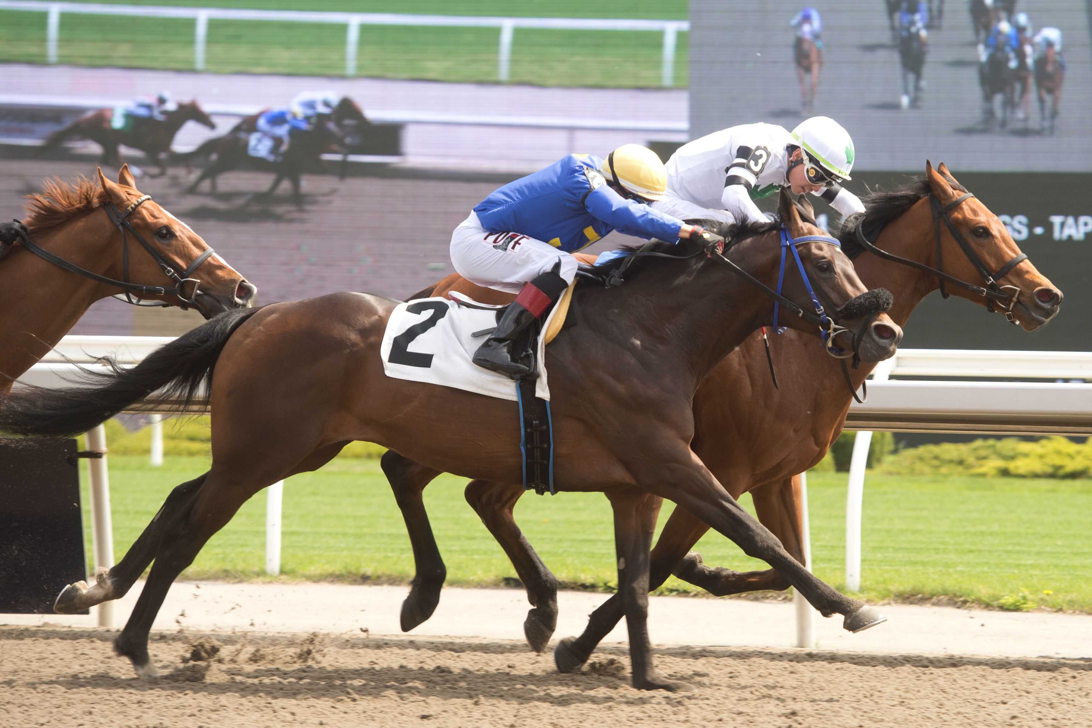 Rapid Test and jockey Emma-Jayne Wilson winning Race 11 on September 25, 2024 at Woodbine (Michael Burns Photo)