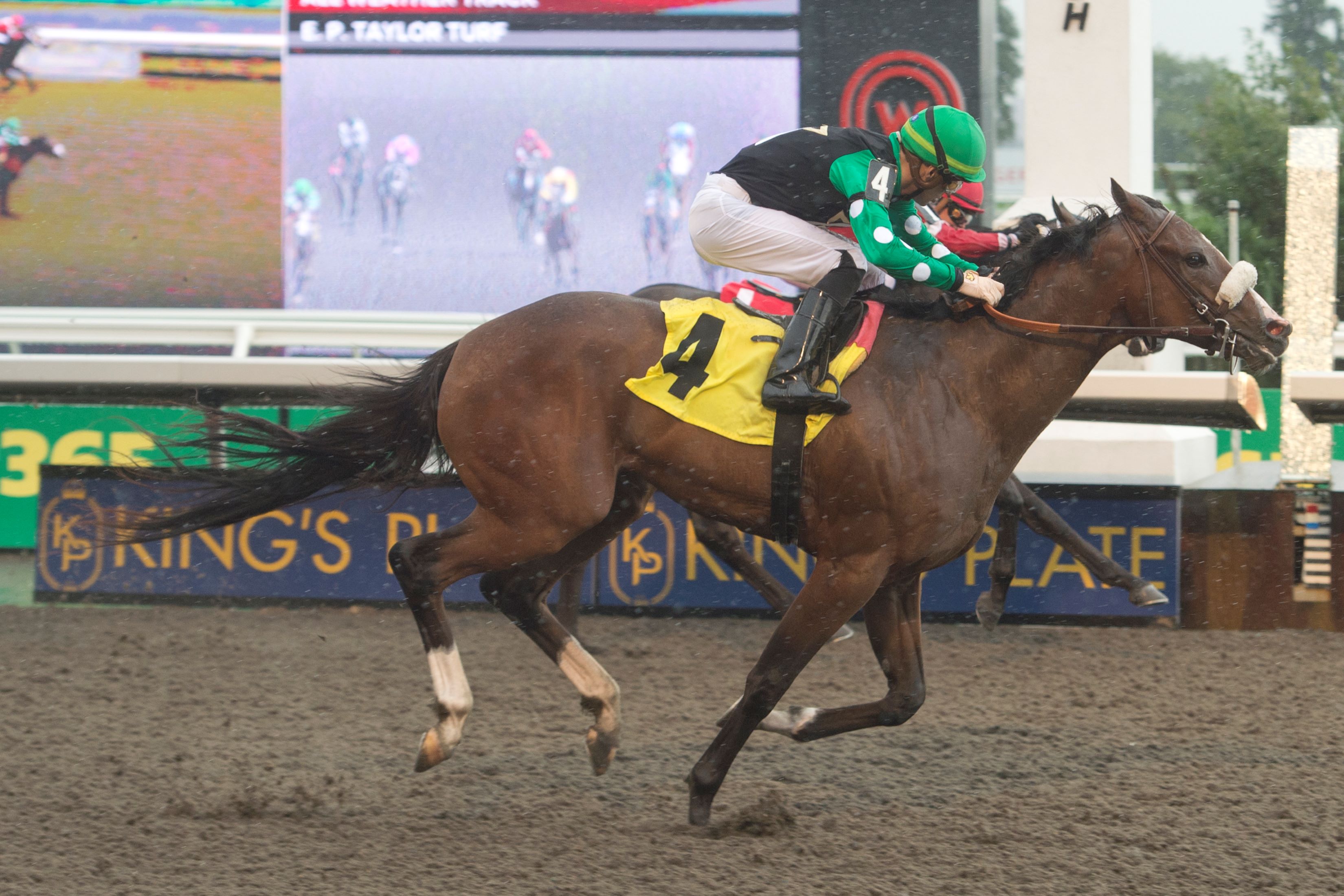 Ride for the Purse and Sahin Civaci winning Race 9 on August 19, 2024 at Woodbine (Michael Burns Photo)