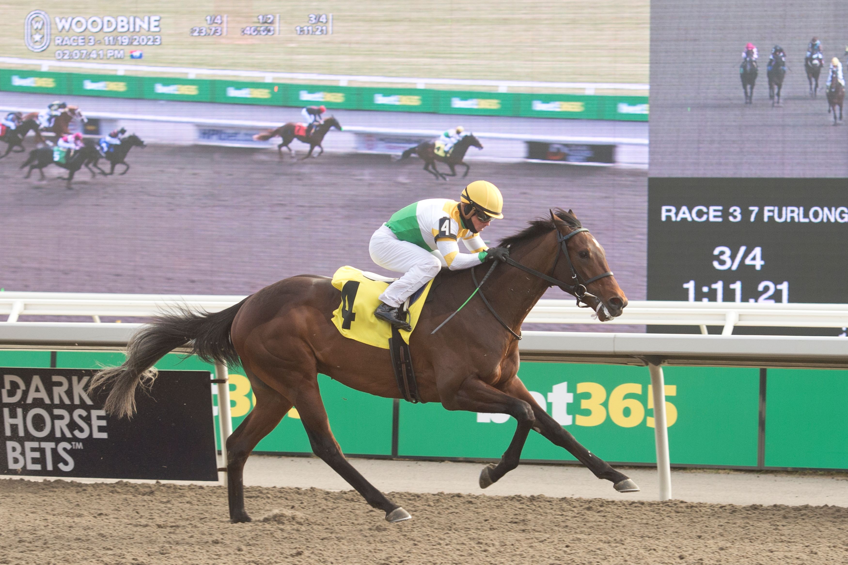 Roscar at Woodbine (Michael Burns Photo)