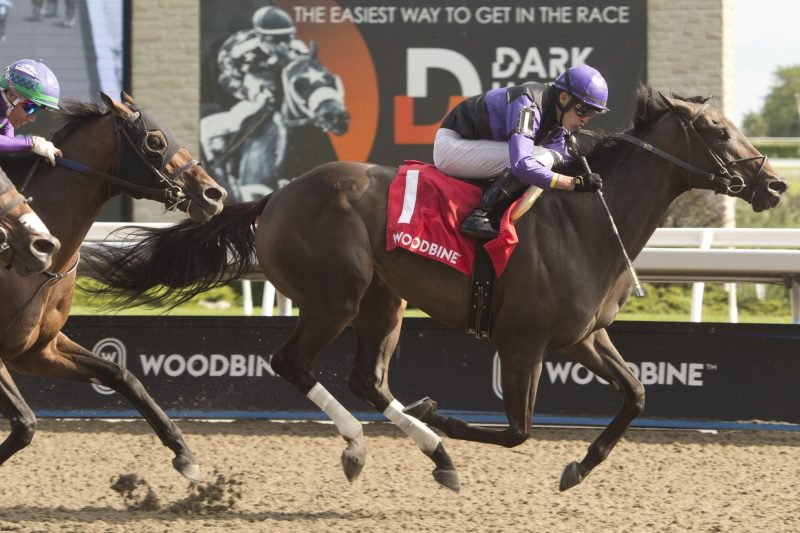 Secret Reserve and jockey Eswan Flores winning the Bold Venture Stakes on August 13th 2022 (Michael Burns Photo)