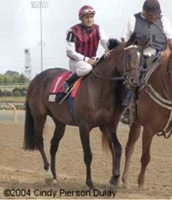 Mobil in 2004 at Woodbine
