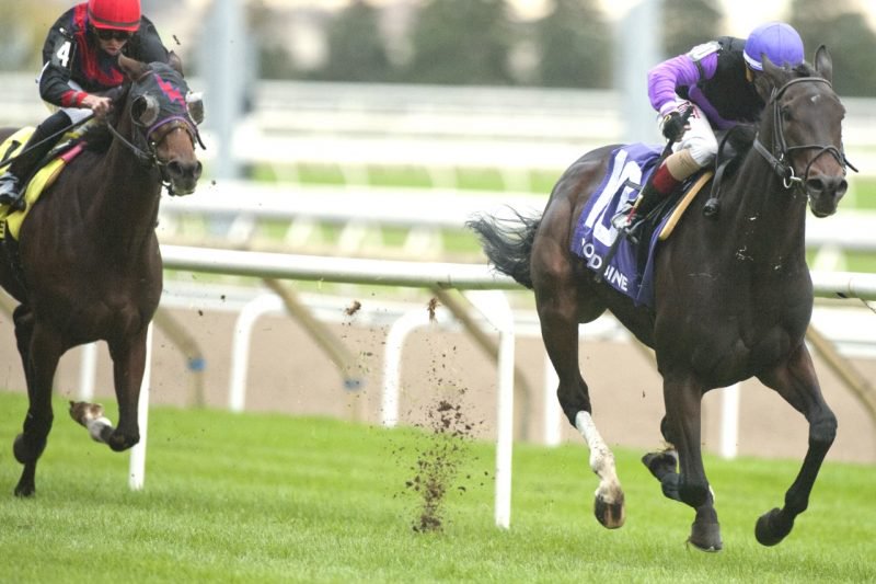 Secret Reserve had plenty in reserve as he pulled away to win the Lake Superior Stakes under Rafael Hernandez at Woodbine on October 22, 2021. (Michael Burns Photo)