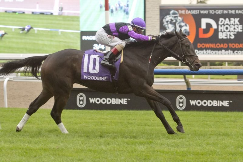  Secret Reserve winning the Lake Superior Stakes on October 22, 2021 at Woodbine.