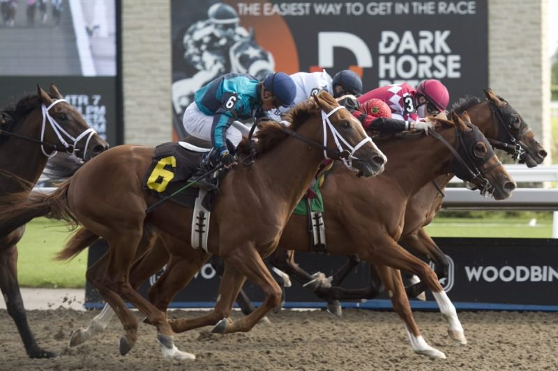 Shamateur sticks a nose in front of Stowaway and Stronger Together to capture a September 5th race at Woodbine. (Michael Burns Photo)