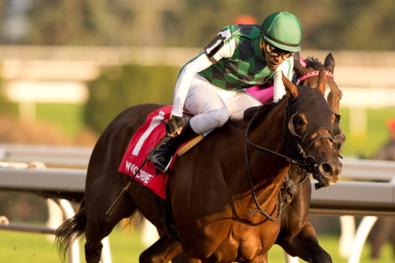 Shotgun Wedding at Woodbine (Michael Burns Photo)