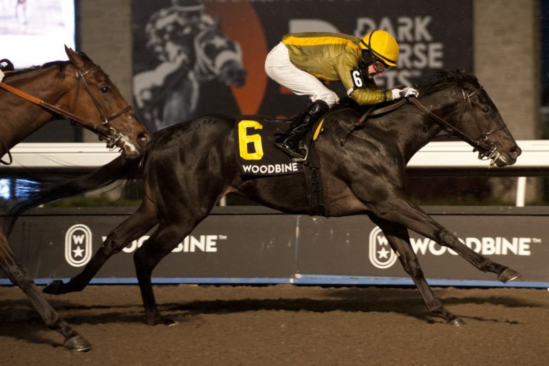 Silent Runner made noise with jockey David Moran earning the lions share of the Frost King Stakes at Woodbine. (Michael Burns Photo) 
