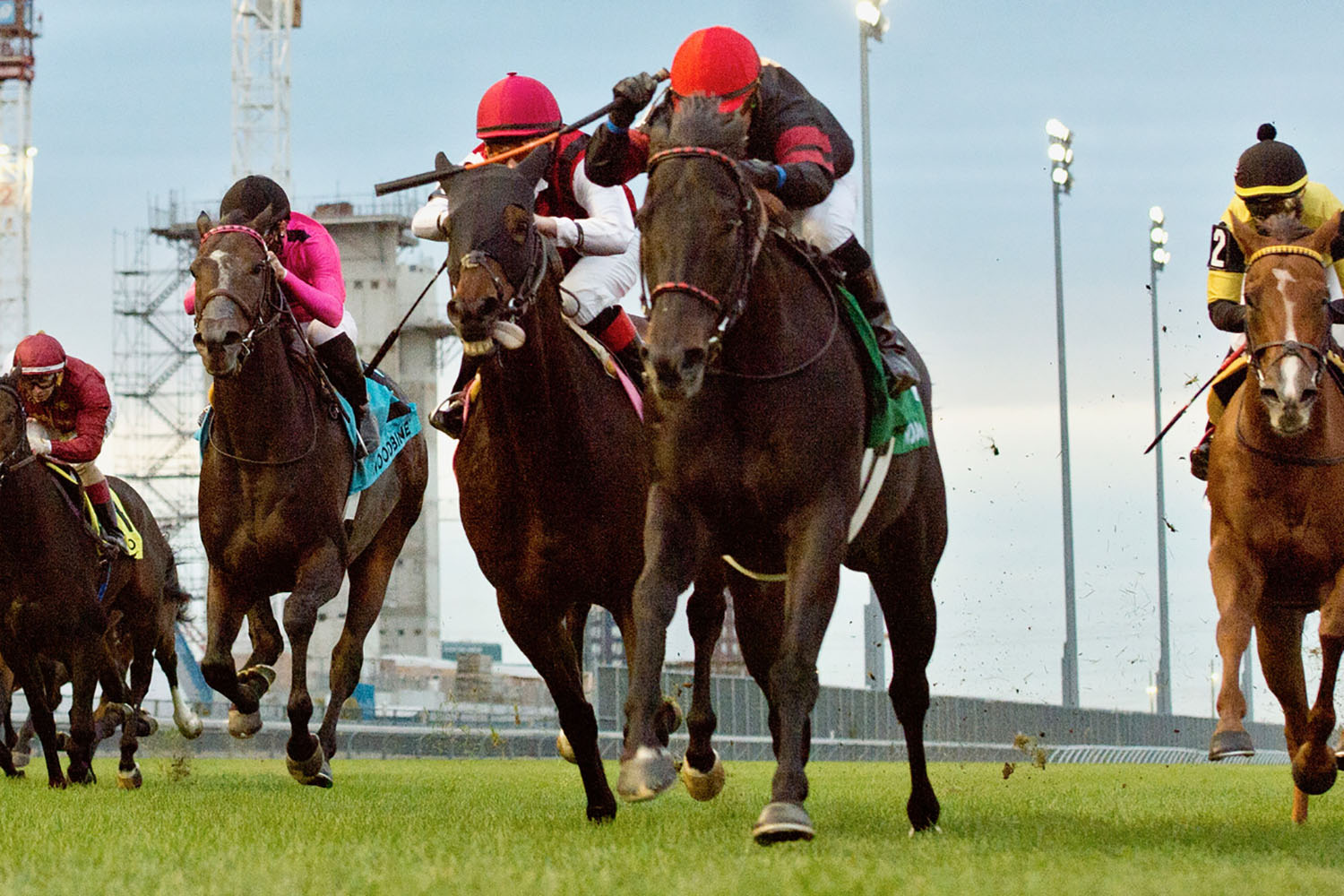 Silent Poet and jockey Justin Stein winning the $250,000 Nearctic Stakes (Grade 2) on Sunday, Oct. 18 at Woodbine Racetrack. (Michael Burns Photo)