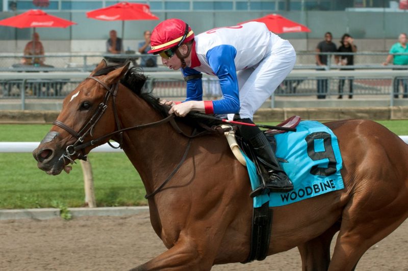 Sir For Sure, under Declan Carroll, earn the Plate Trial Stakes on Sunday at Woodbine. (Michael Burns Photo) low