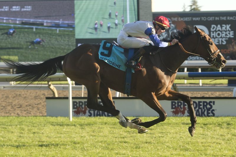 Sir for Sure and jockey Declan Carroll winning the Breeders' Stakes on October 2, 2022 at Woodbine (Michael Burns Photo)