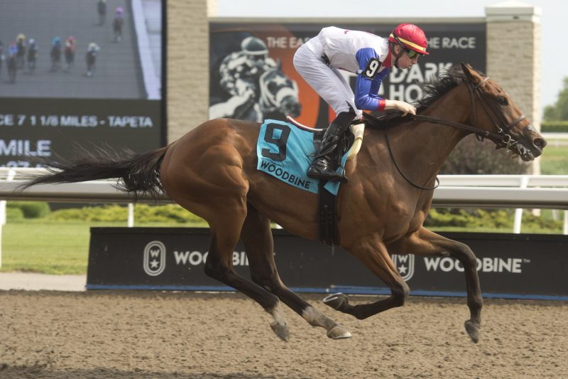 Sir for Sure and jockey Declan Carroll winnin the Plate Trial Stakes on July 24 2022 at Woodbine. 