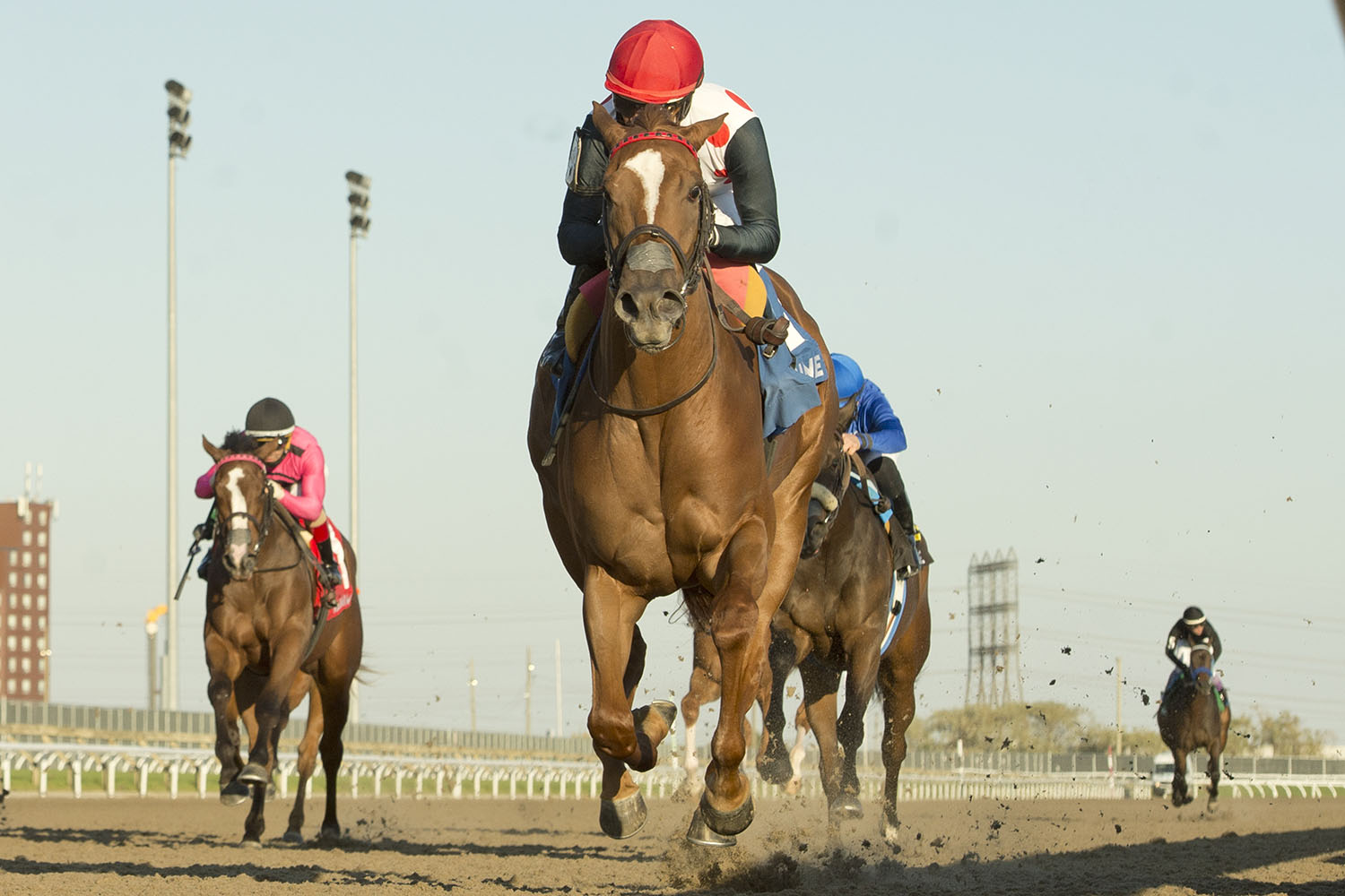 Souper Sensational and jockey Patrick Husbands winning the $100,000 Glorious Song Stakes on Saturday, Oct. 17 at Woodbine Racetrack. (Michael Burns Photo)