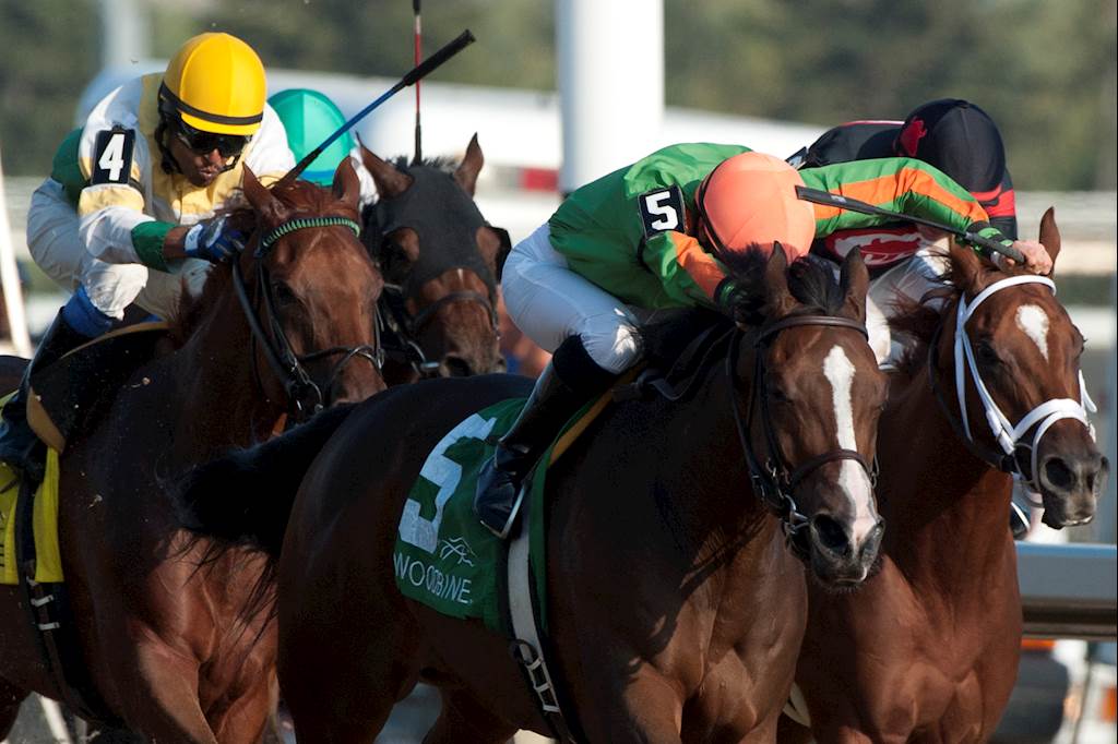 Sparkles’ Girl and Wilson sparkle in Classy 'n Smart - Woodbine Racetrack