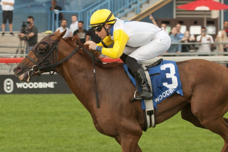 Ready for the Lady and jockey Emma-Jayne Wilson winning the  Singspiel Stakes on Sunday at Woodbine (Michael Burns Photo)