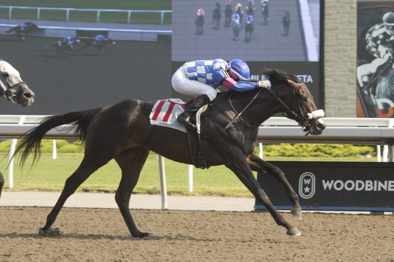 Stanley House and Luis Contreras winning on June 18 at Woodbine. (Michael Burns Photo)
