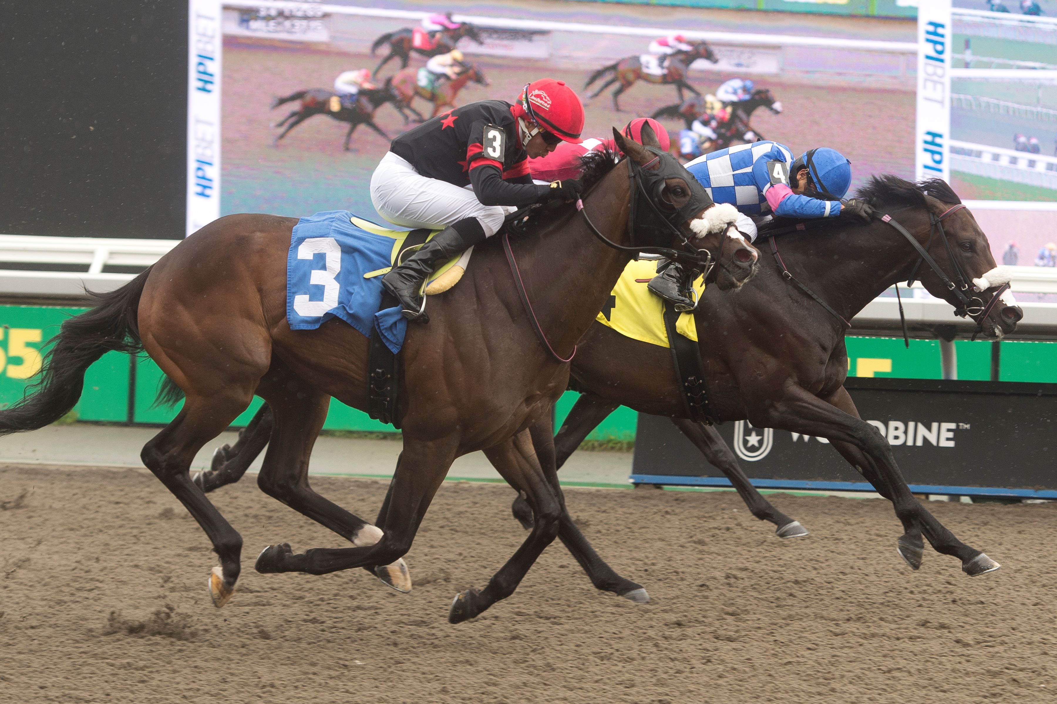 Stanley House (inside) and jockey Jose Campos winning Race 7 on May 17, 2024 at Woodbine (Michael Burns Photo)