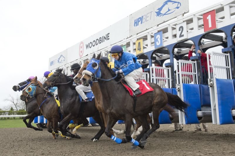 Horses exit the gate for the first race of the 2023 season. 