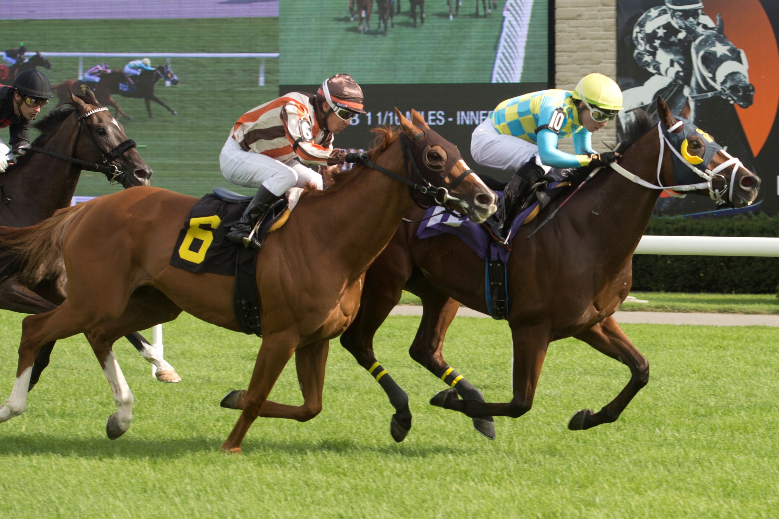 Steak and Cheese at Woodbine (Michael Burns Photo)