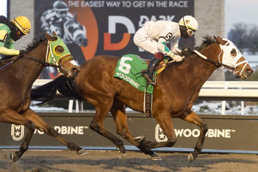 Strega and jockey Kazushi Kimura winning the Ashbridges Bay Stakes on November 18th 2022 at Woodbine (Michael Burns Photo)