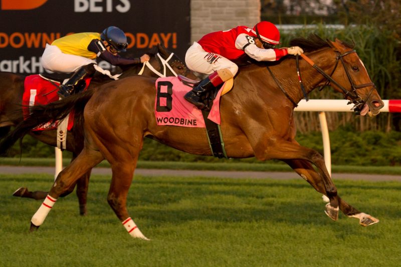 Summer Sunday and Rafael Hernandez cross the finish line first to claim the 2021 edition of the Zadracarta Stakes at Woodbine on September 10. (Michael Burns Photo)  