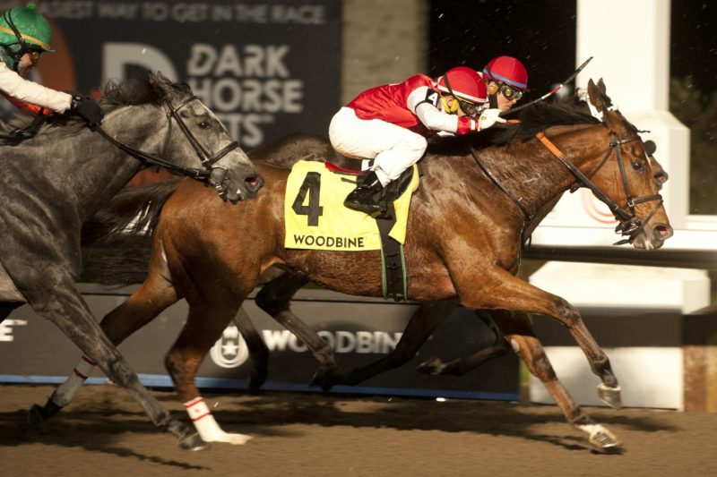 Summer Sunday sticks a nose in front for jockey Rafael Hernandez to claim the Eternal Search Stakes on October 29 at Woodbine. (Michael Burns Photo)