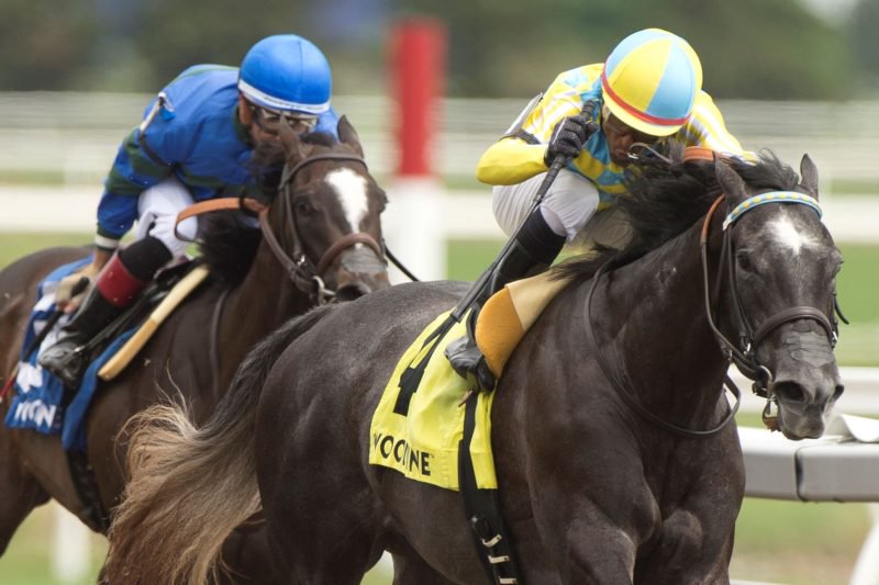 Mark Casse trainee, Summertime Magic, under Patrick Husbands, edges out 2021 Sovereign Award winner Mrs. Barbara, to win the $100,000 Ruling Angel Stakes at Woodbine on May 21st, 2022. (Michael Burns Photo)