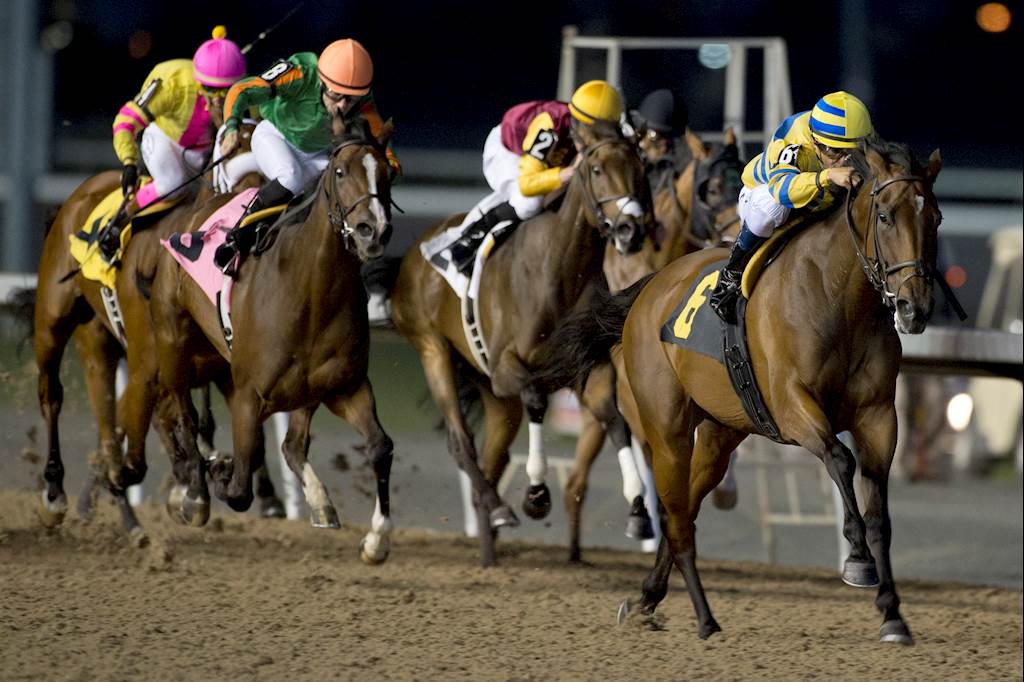 Sweater Weather in Woodbine's Sunday forecast? Woodbine Racetrack