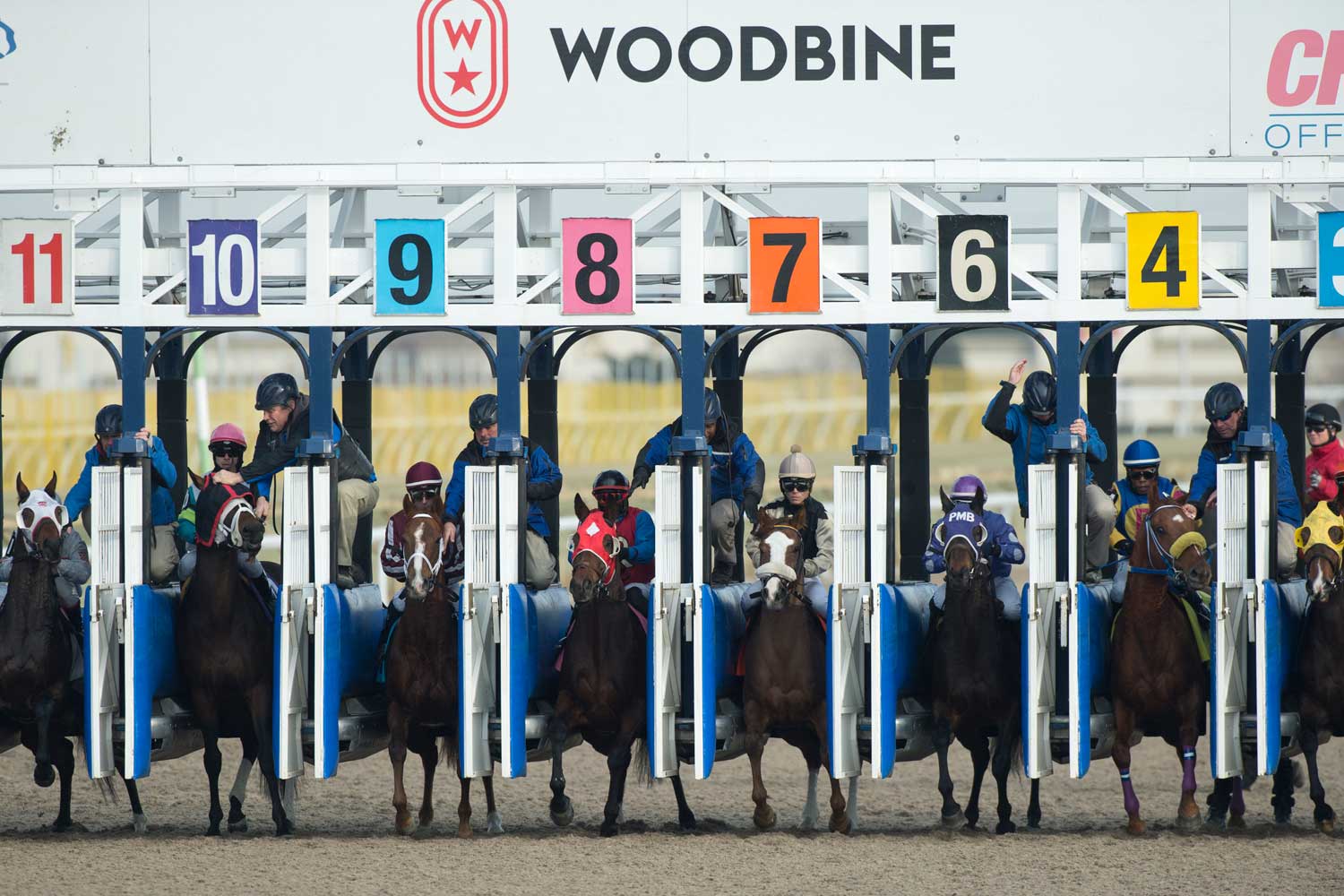 Year In Review Geller S Top 10 Highlights Woodbine Racetrack