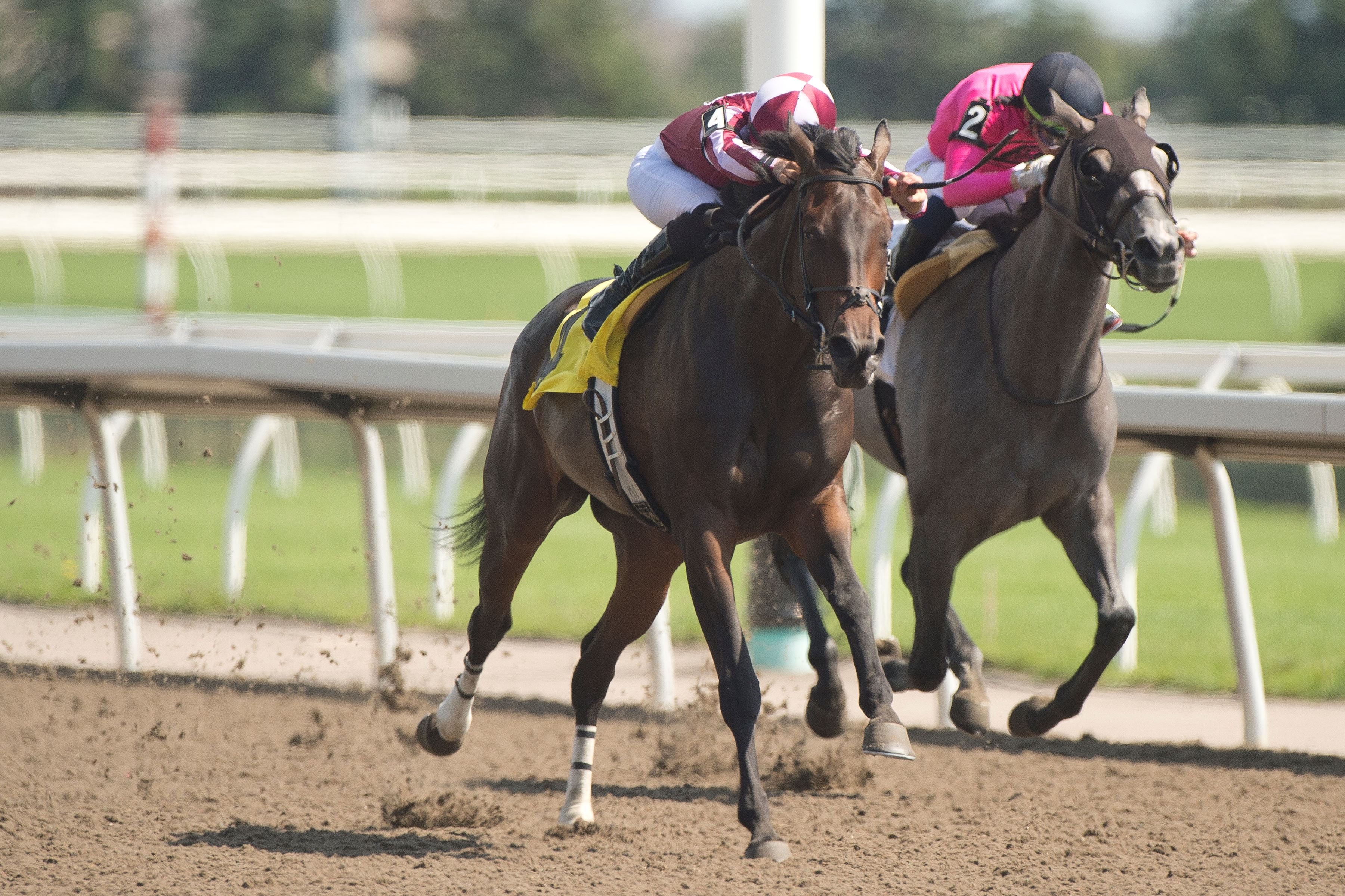  Talk to Ya Later and jockey Emma-Jayne Wilson winning the 2022 Algoma Stakes at Woodbine (Michael Burns Photo)