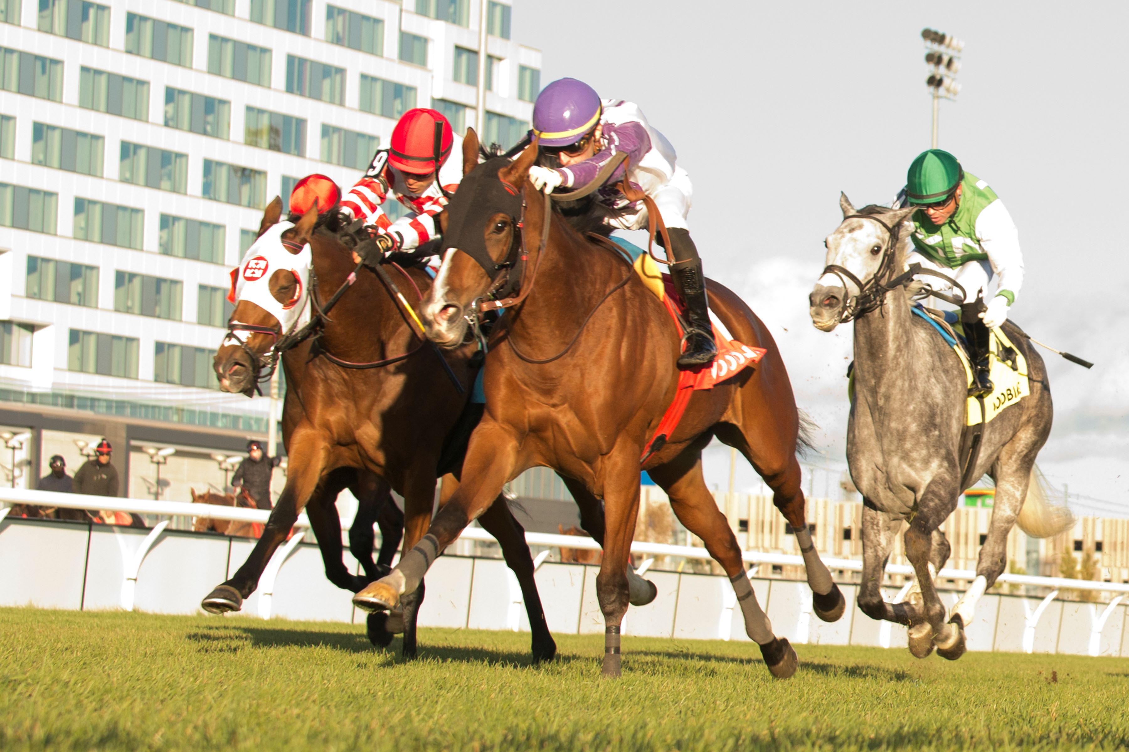 Taquanyah and jockey Leo Salles winning the Eternal Search Stakes on October 26, 2024 at Woodbine (Michael Burns Photo)