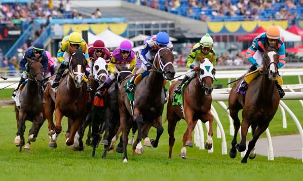 Woodbine Mile, Thoroughbred Race on Turf Course at Woodbine Racetrack