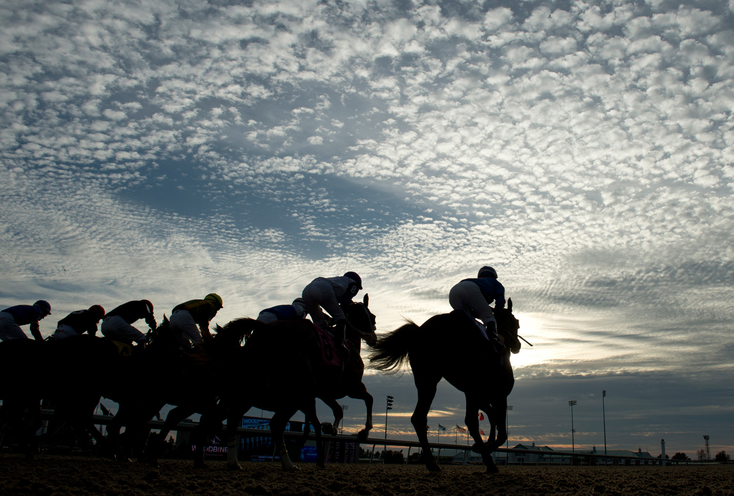 Woodbine’s 2017 Thoroughbred meet concludes Woodbine Racetrack