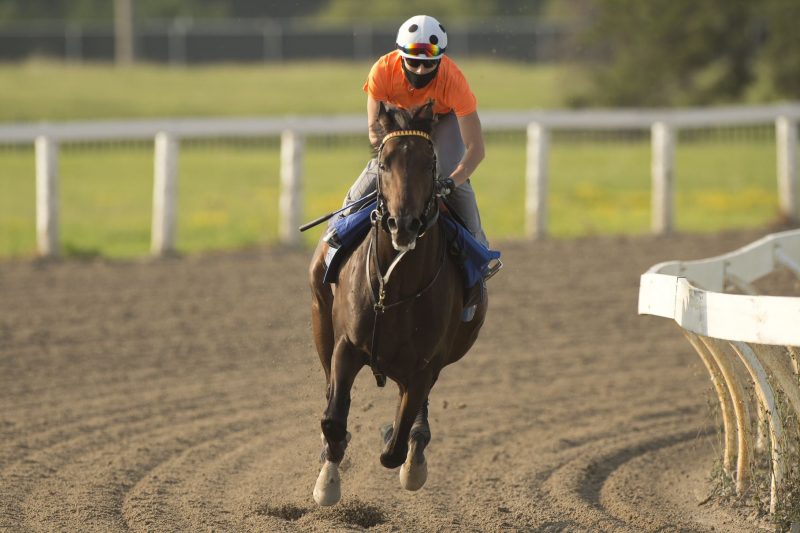 Tidal Forces and Emma-Jayne Wilson will team up in Sunday's $1 million Queen's Plate.