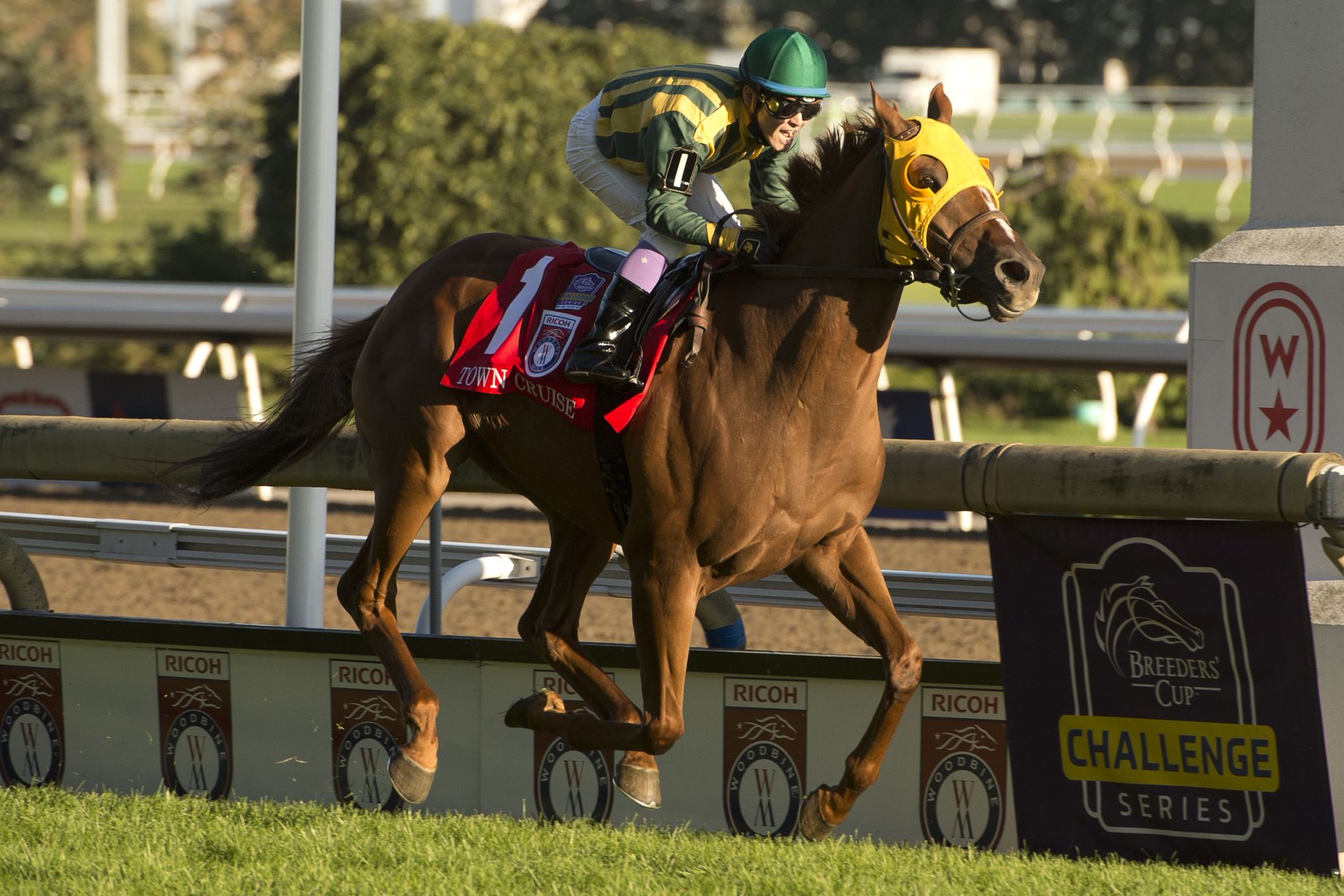 Grade 1 Turf Classic Saturday Ricoh Woodbine Mile, Pattison Summer