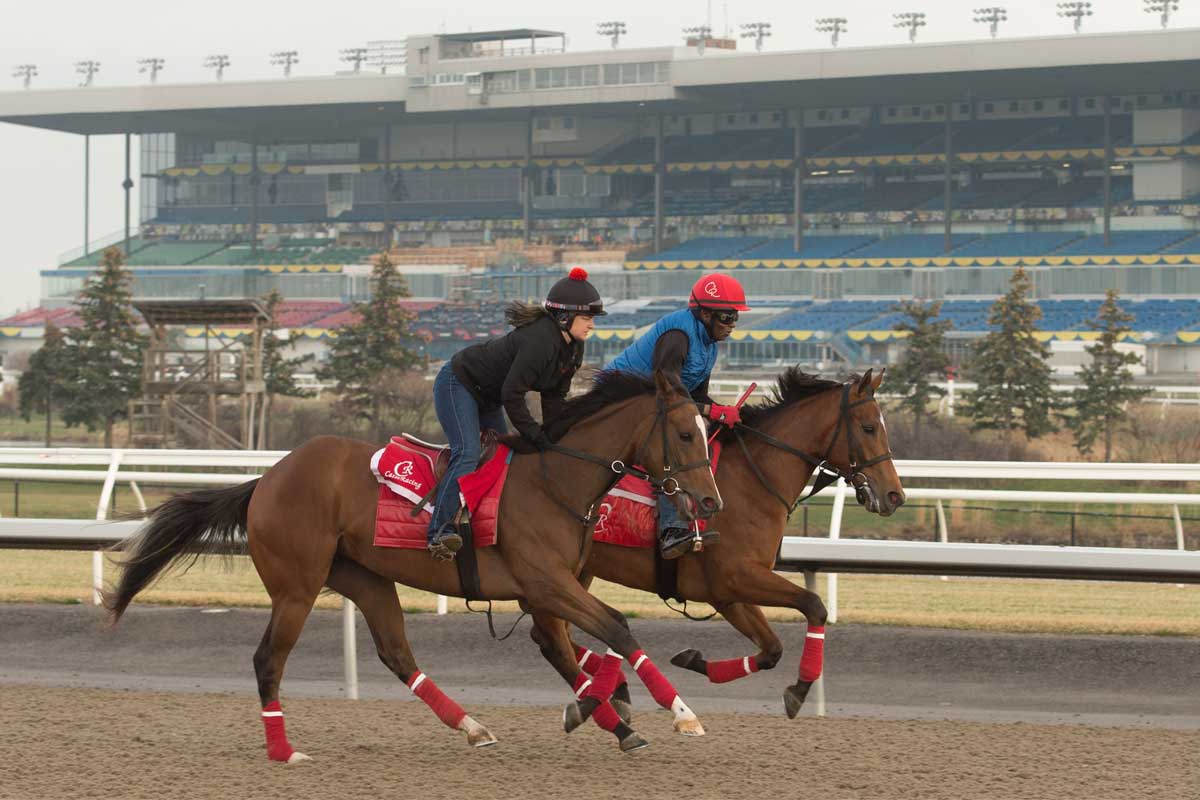 Incentives Woodbine Racetrack