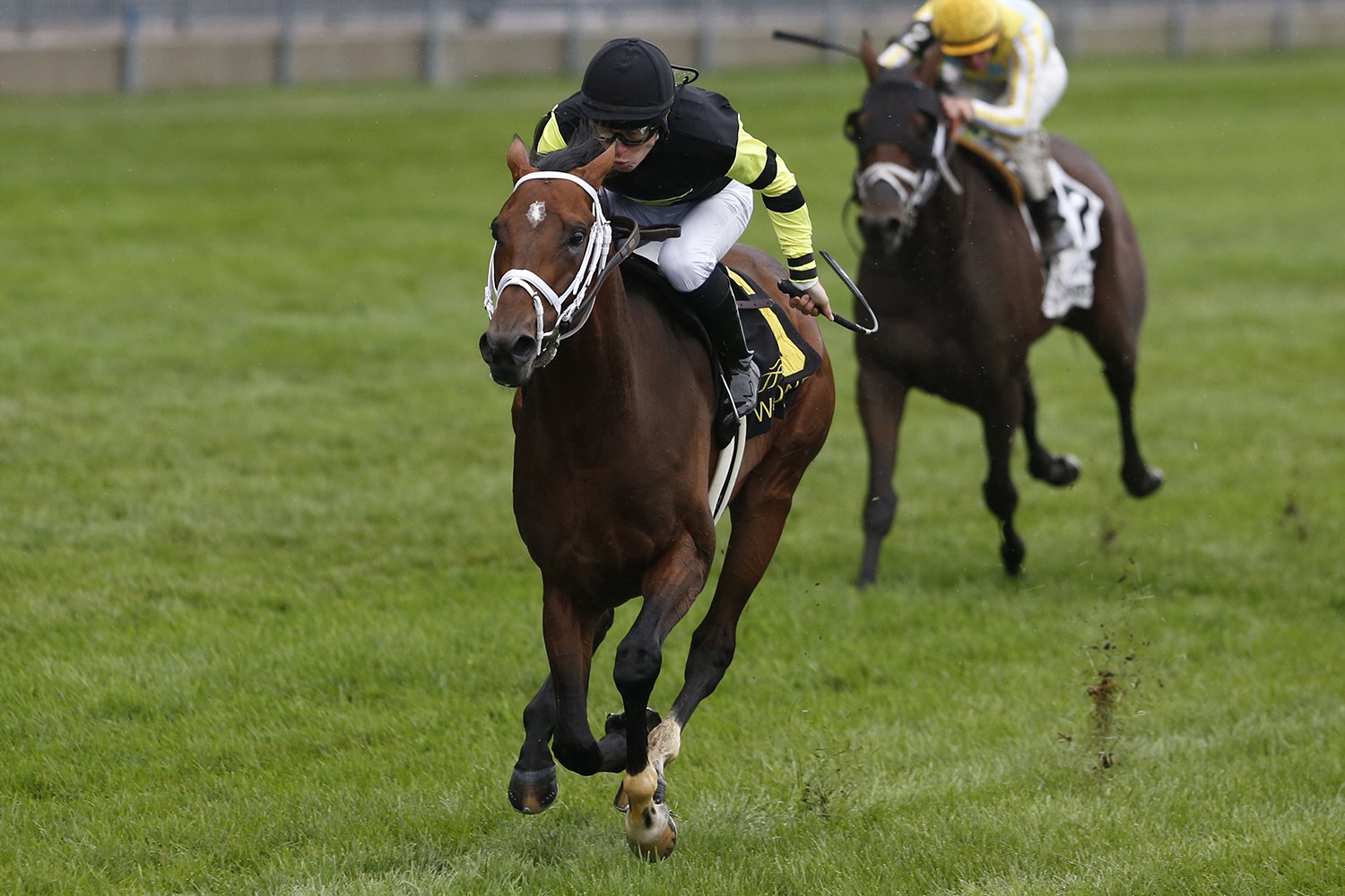 Wilson guiding Interpol to victory in the Grade 1 Northern Dancer Stakes (Burns Photo)