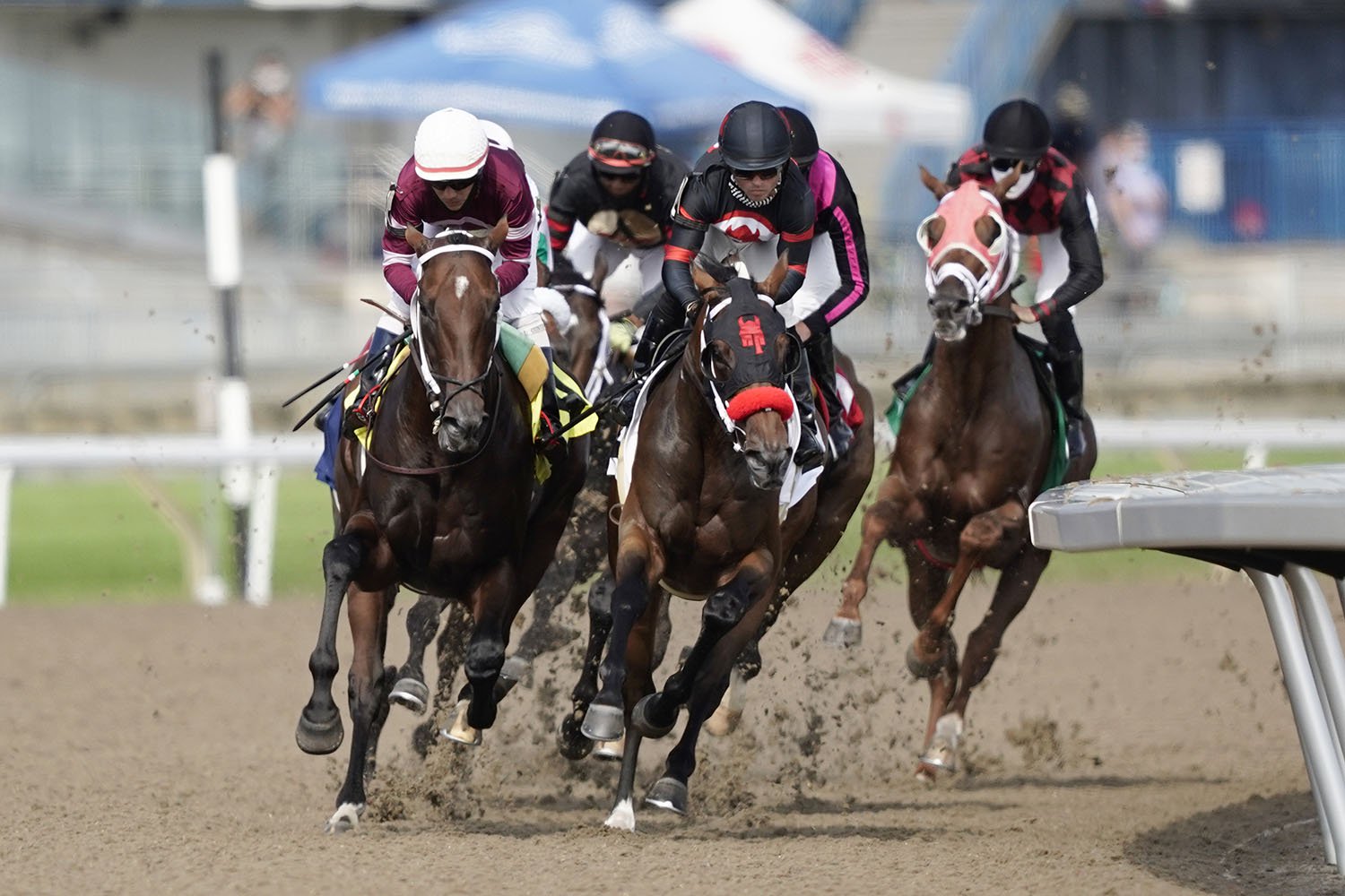 New Post Times For The Remainder Of The Woodbine Thoroughbred Meet ...