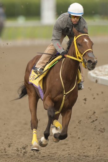 Youens is taken through the paces as a 2021 Woodbine Oaks contender. (Michael Burns Photo)