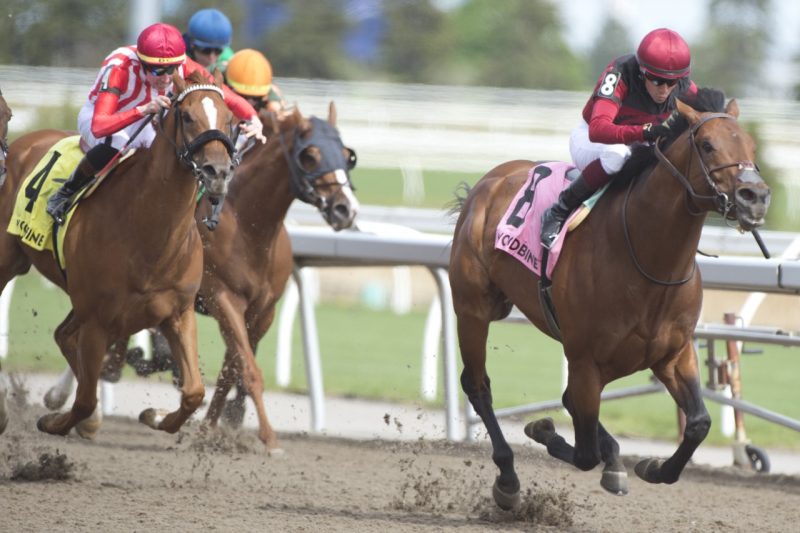 Anarchist and jockey Luis Contreras winning the Jacques Cartier Stakes on May 14, 2023 at Woodbine (Michael Burns Photo)