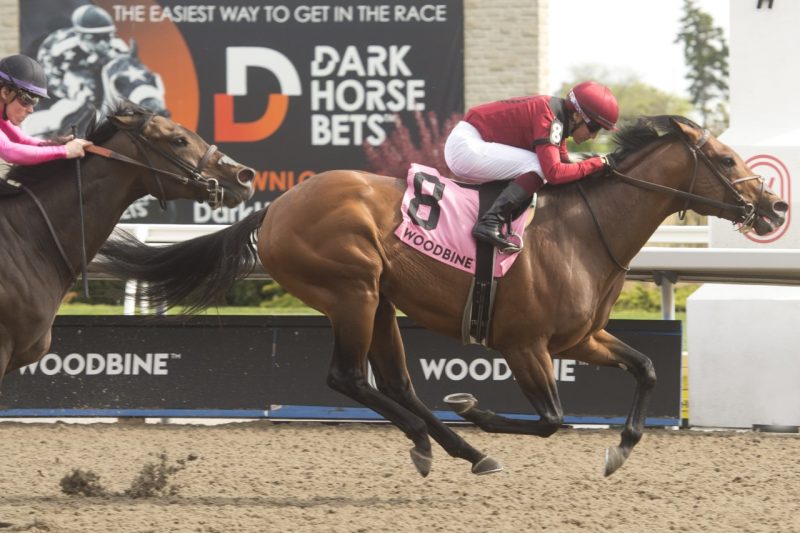 Anarchist and jockey Luis Contreras winning the Jacques Cartier Stakes on May 14, 2023 at Woodbine (Michael Burns Photo)